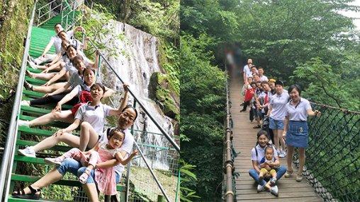 植物大战僵尸20