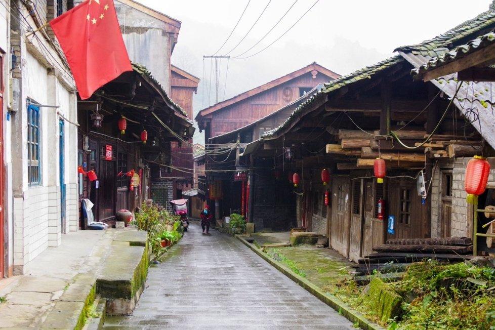 拯救蓝色小鸟